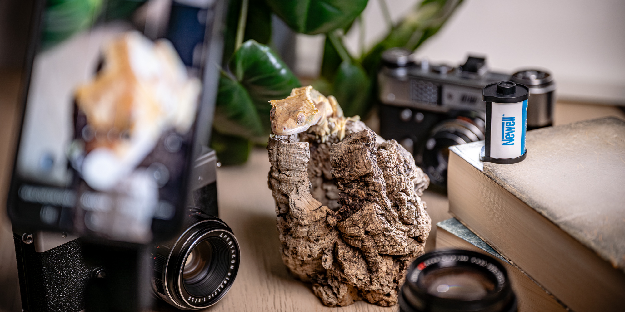 Lampka LED Newell MiniReels